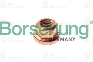 Запчасть Borsehung B10639