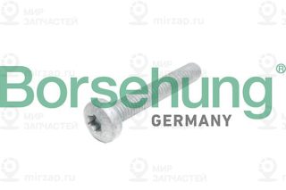 Запчасть Borsehung B10645