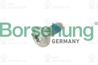 Запчасть Borsehung B10646