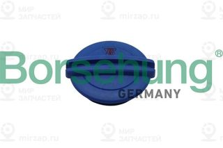 Запчасть Borsehung B19281