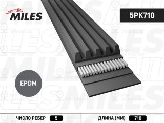 Запчасть MILES 5PK710