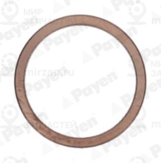 Запчасть PAYEN KG5148
