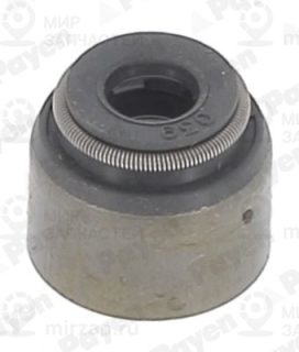 Запчасть PAYEN PA6055