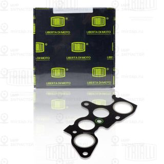 Запчасть TRIALLI GZ1020013