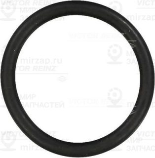 Запчасть VICTOR REINZ 407631300