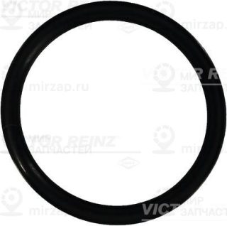 Запчасть VICTOR REINZ 407693310