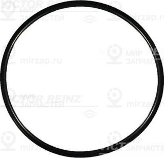 Запчасть VICTOR REINZ 407696400