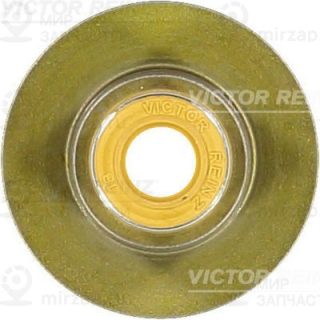 Запчасть VICTOR REINZ 704033600