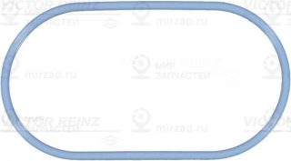 Запчасть VICTOR REINZ 713810200