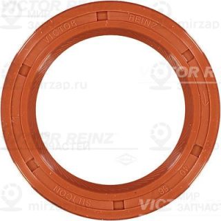 Запчасть VICTOR REINZ 812108720
