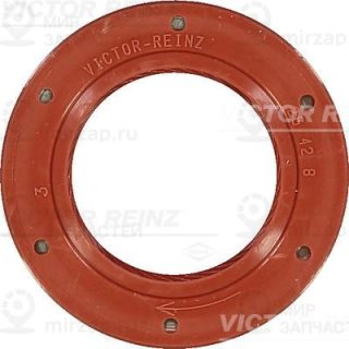 Запчасть VICTOR REINZ 812491100