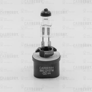 Запчасть CARBERRY 31CA10