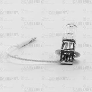 Запчасть CARBERRY 31CA12