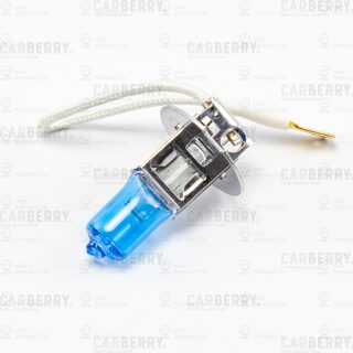 Запчасть CARBERRY 31CA12PL