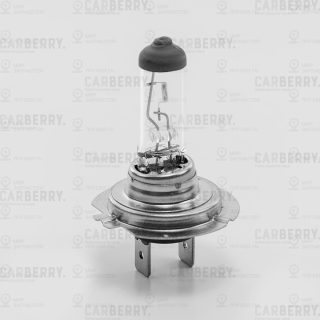 Запчасть CARBERRY 31CA13