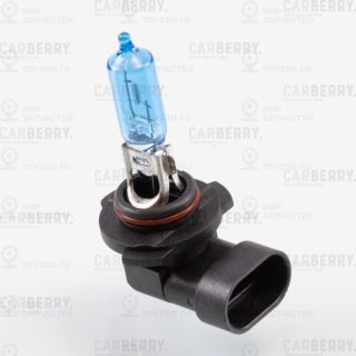Запчасть CARBERRY 31CA1PL