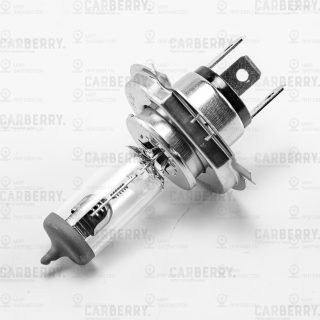 Запчасть CARBERRY 31CA52