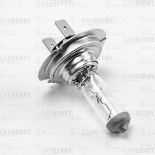 Запчасть CARBERRY 31CA53