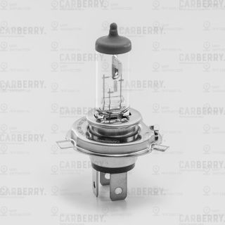 Запчасть CARBERRY 31CA7