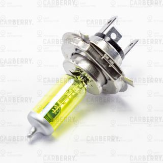 Запчасть CARBERRY 31CA7FL