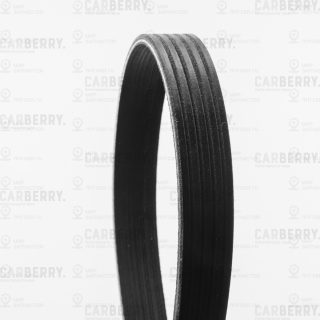 Запчасть CARBERRY 5PK491