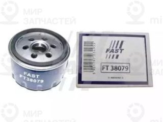 Запчасть FAST FT38079