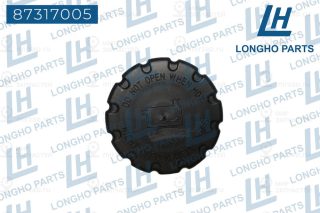 Запчасть LONGHO 87317005