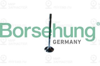 Запчасть Borsehung B13246
