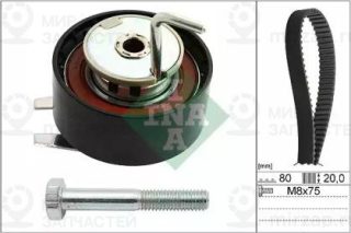 Комплект Роликов Двс INA 530069210
