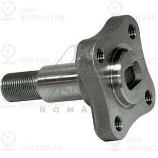 Запчасть ASAM 30247