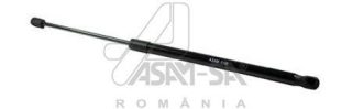 Запчасть ASAM 30467
