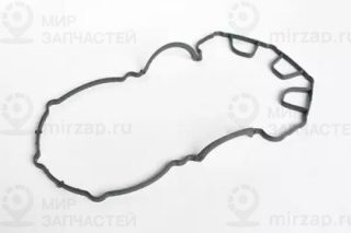 Запчасть ASAM 55041