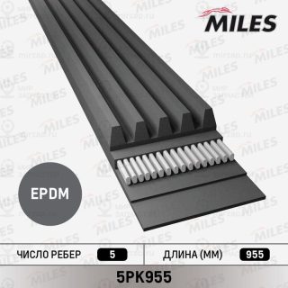 Ремень поликлиновой MILES 5PK955