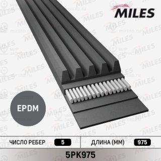 Ремень поликлиновой MILES 5PK975