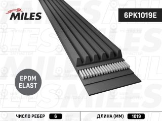 Ремень поликлиновой MILES 6PK1019E