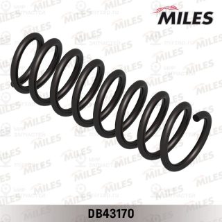 Запчасть MILES DB43170