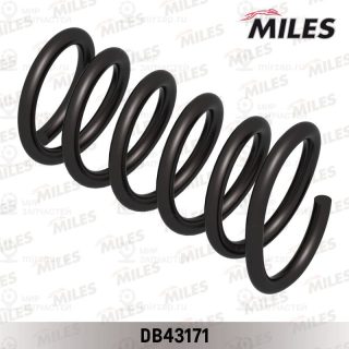 Запчасть MILES DB43171