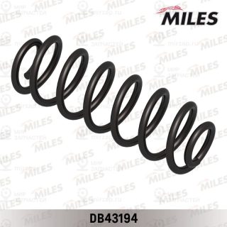 Запчасть MILES DB43194