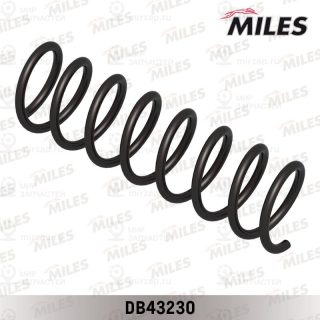 Запчасть MILES DB43230