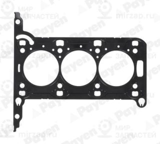 Запчасть PAYEN AE5950