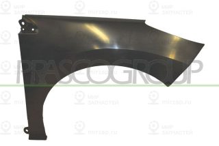 Запчасть PRASCO PG4243013