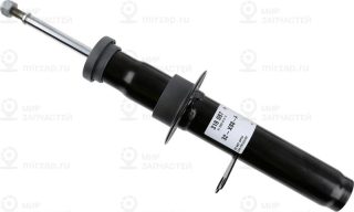 Запчасть SACHS 318087