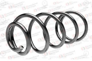 Пружина ходовой части STANDARD SPRINGS ST110125F