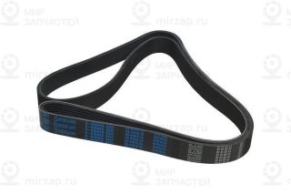 Ремень поликлиновой STELLOX 0801670SX
