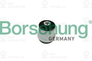 Запчасть Borsehung B10030
