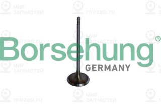 Запчасть Borsehung B10325