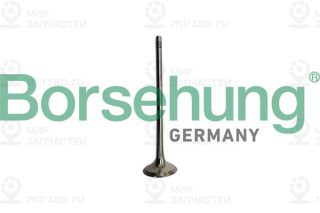 Запчасть Borsehung B10335
