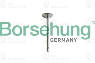Запчасть Borsehung B10344