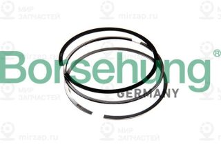 Запчасть Borsehung B10365