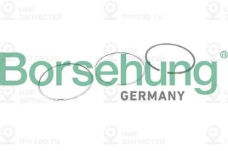 Запчасть Borsehung B10368